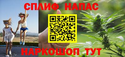 гидра Апрелевка