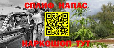 гидра Апрелевка