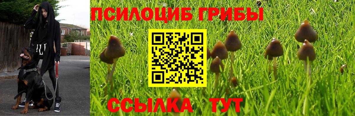 Галлюциногенные грибы MAGIC MUSHROOMS Коряжма