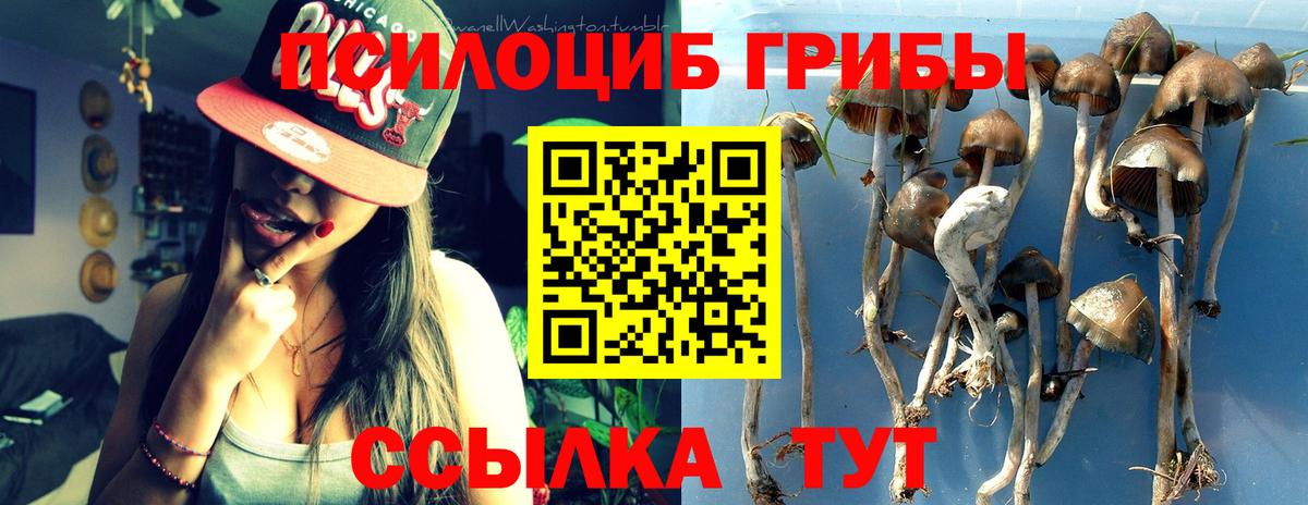 Галлюциногенные грибы MAGIC MUSHROOMS  цена наркотик  Коряжма 