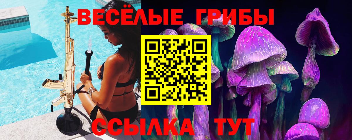 Псилоцибиновые грибы прущие грибы Коряжма