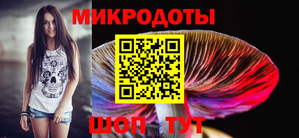 Галлюциногенные грибы Коряжма