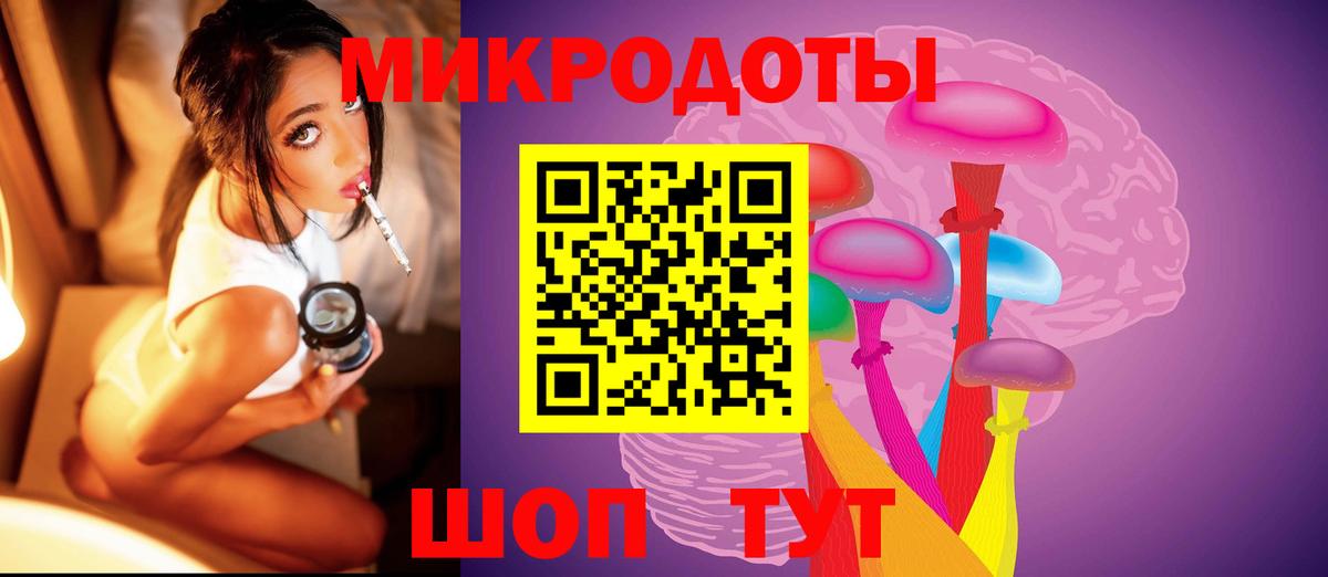 Галлюциногенные грибы Psilocybine cubensis  Псилоцибиновые грибы прущие грибы  Вход с VPN  Коряжма 